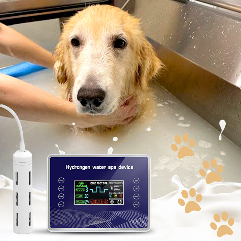 Hydrogen Water Bath vs. Other Wellness Trends: Is It Worth the Hype?
