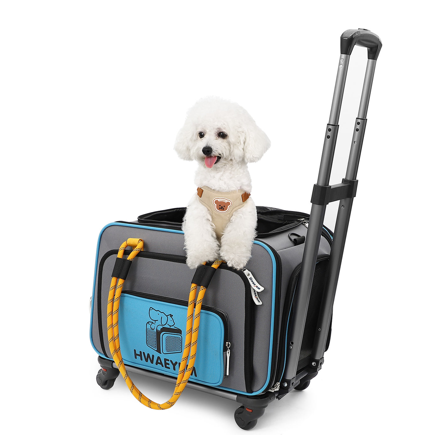 Airline Approved Dog Carrier for Small Dogs with Wheels, Expandable Ca – HUAKAI INTERNATIONAL SHARESINDUSTRIAL(HK)LIMITED