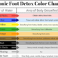 foot-detox-bath-color-chart