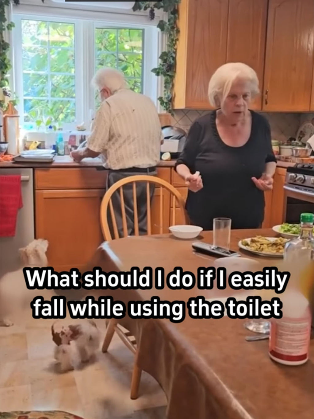 Toilet Safety Rail: Support for Seniors & Disabled