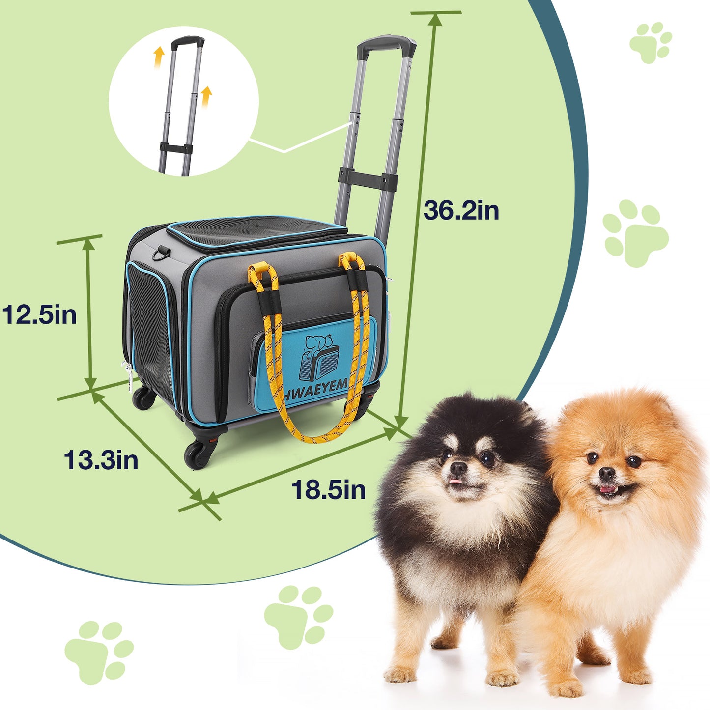 Transportbox Katze Hund Katzentransportbox Hundebox Transporttasche mit Teleskopgriff Rädern Kleine und Mittelgroße Kleintiere Abnehmbare Räder Fluggesellschaften Zugelassen