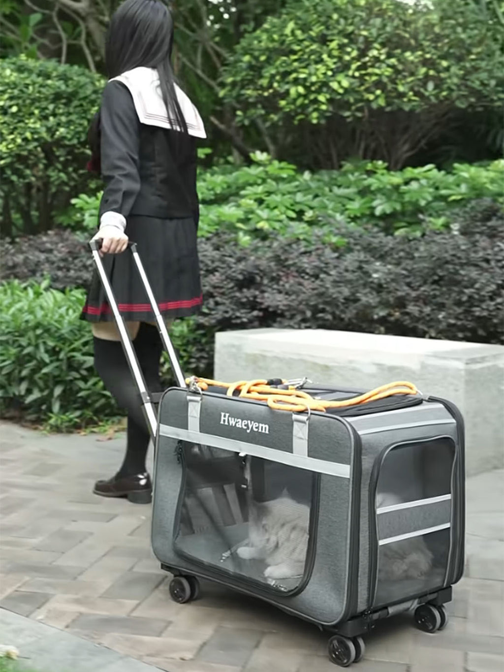 Rolling Pet Carrier, Travel with Your Pets