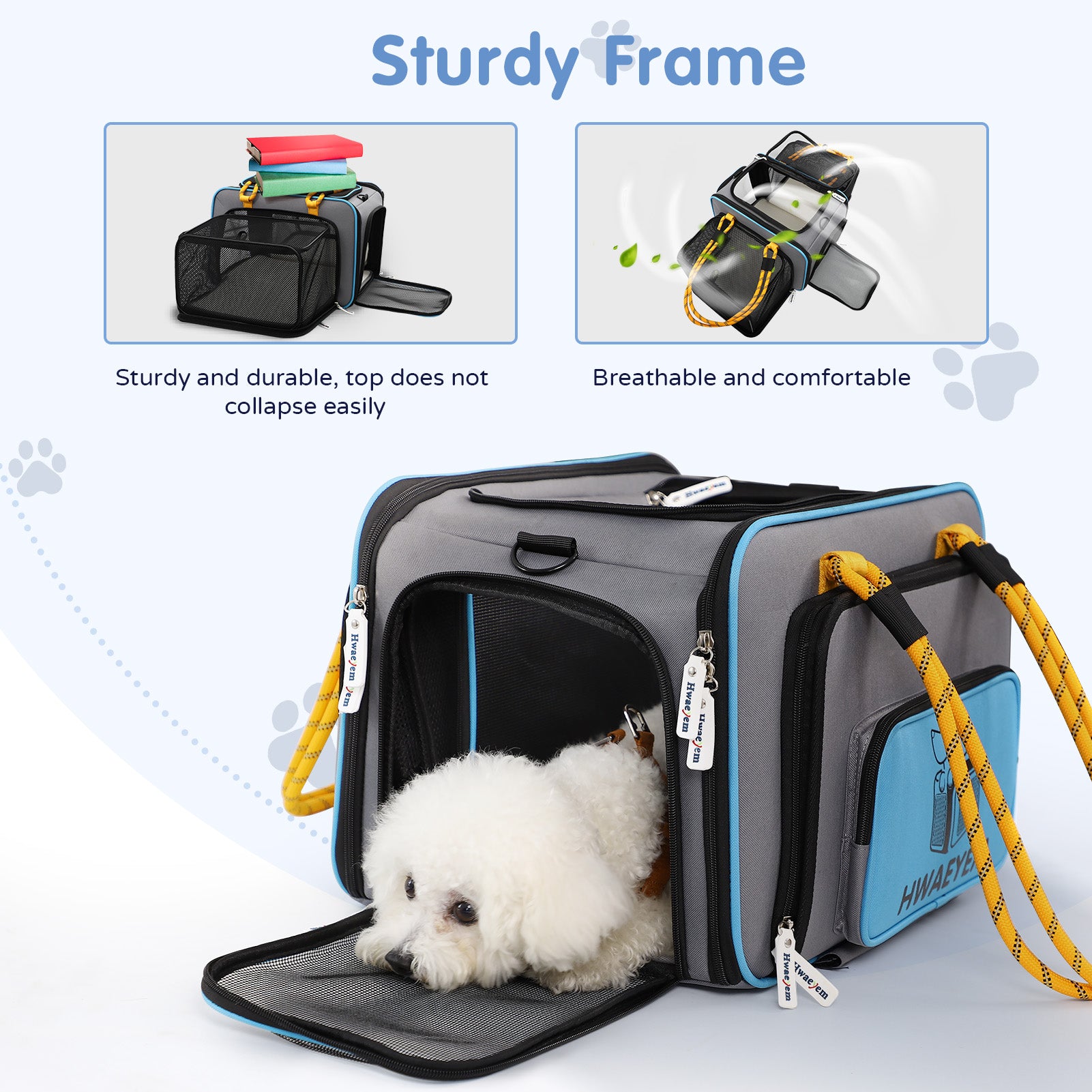 pet carrier airline approved